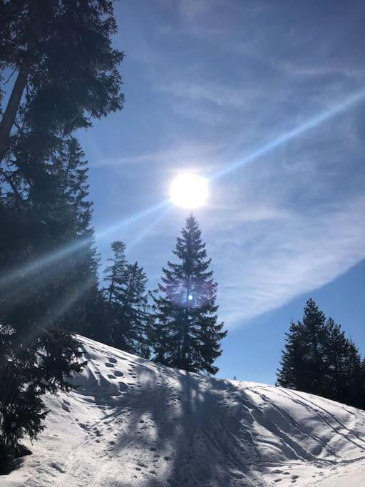 Sonniges Apartment In Seefeld Seefeld in Tirol Ngoại thất bức ảnh