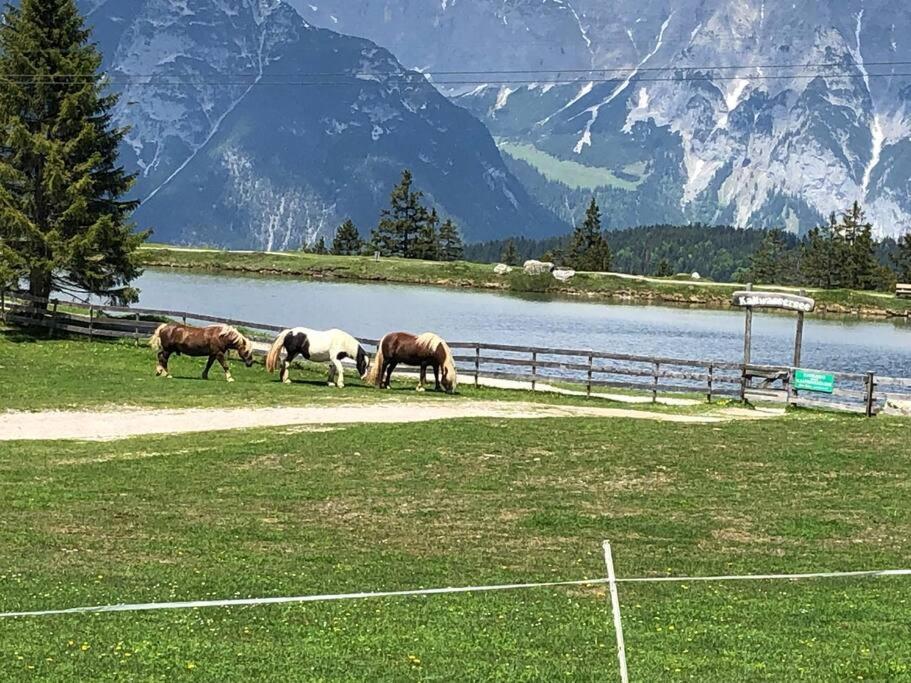 Sonniges Apartment In Seefeld Seefeld in Tirol Ngoại thất bức ảnh